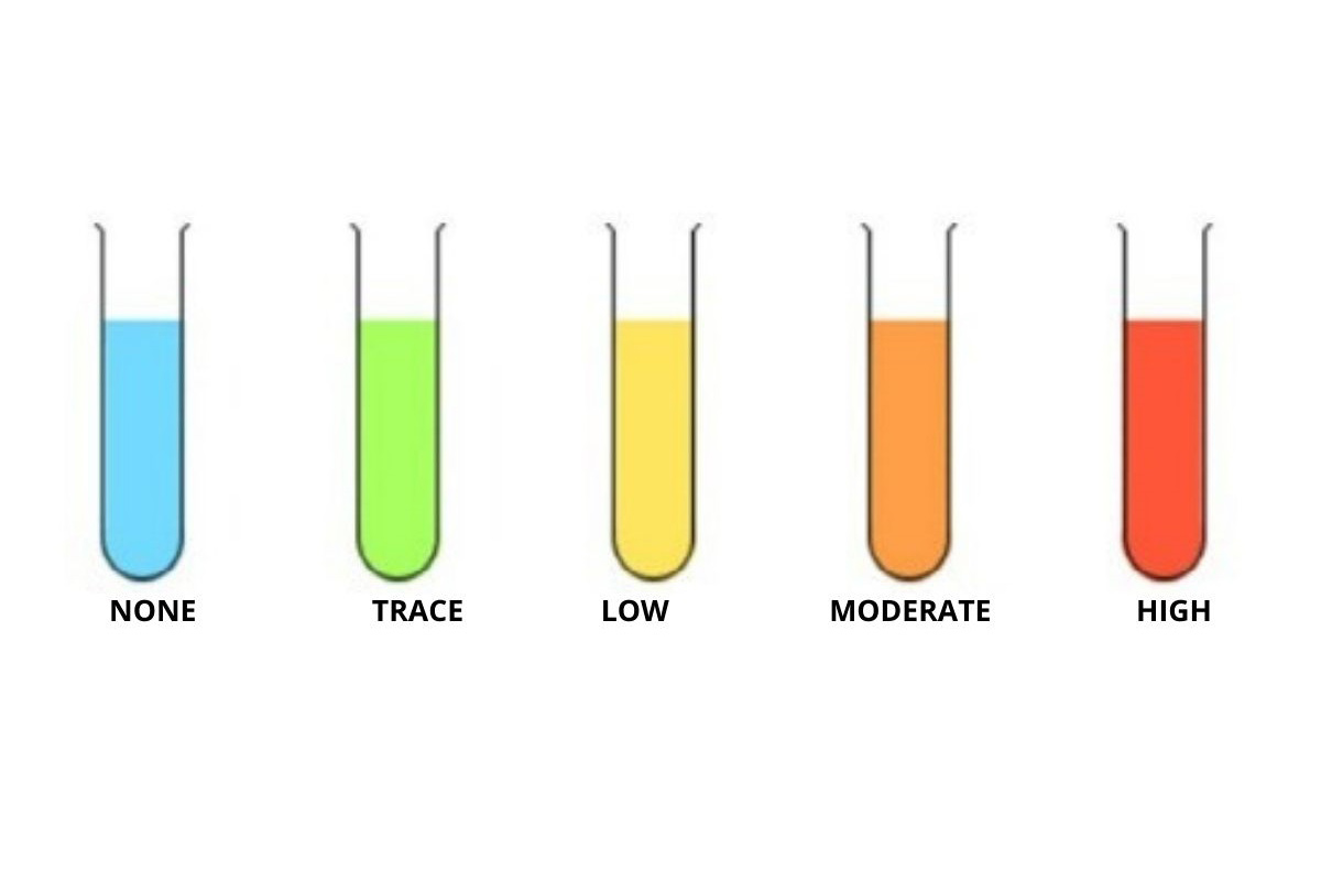 Sucrose Non Reducing Sugar