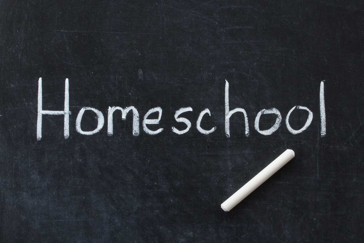 Homeschooling In Lockdown Is Essential for Your Success. Read This to Find Out Why?