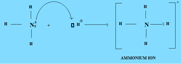 Formation Of Ammonium Ion