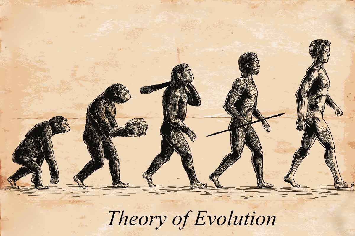 theory-of-evolution