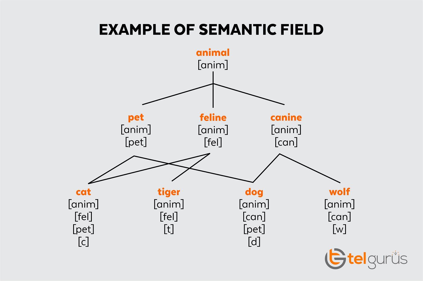 What Is A Semantic Field