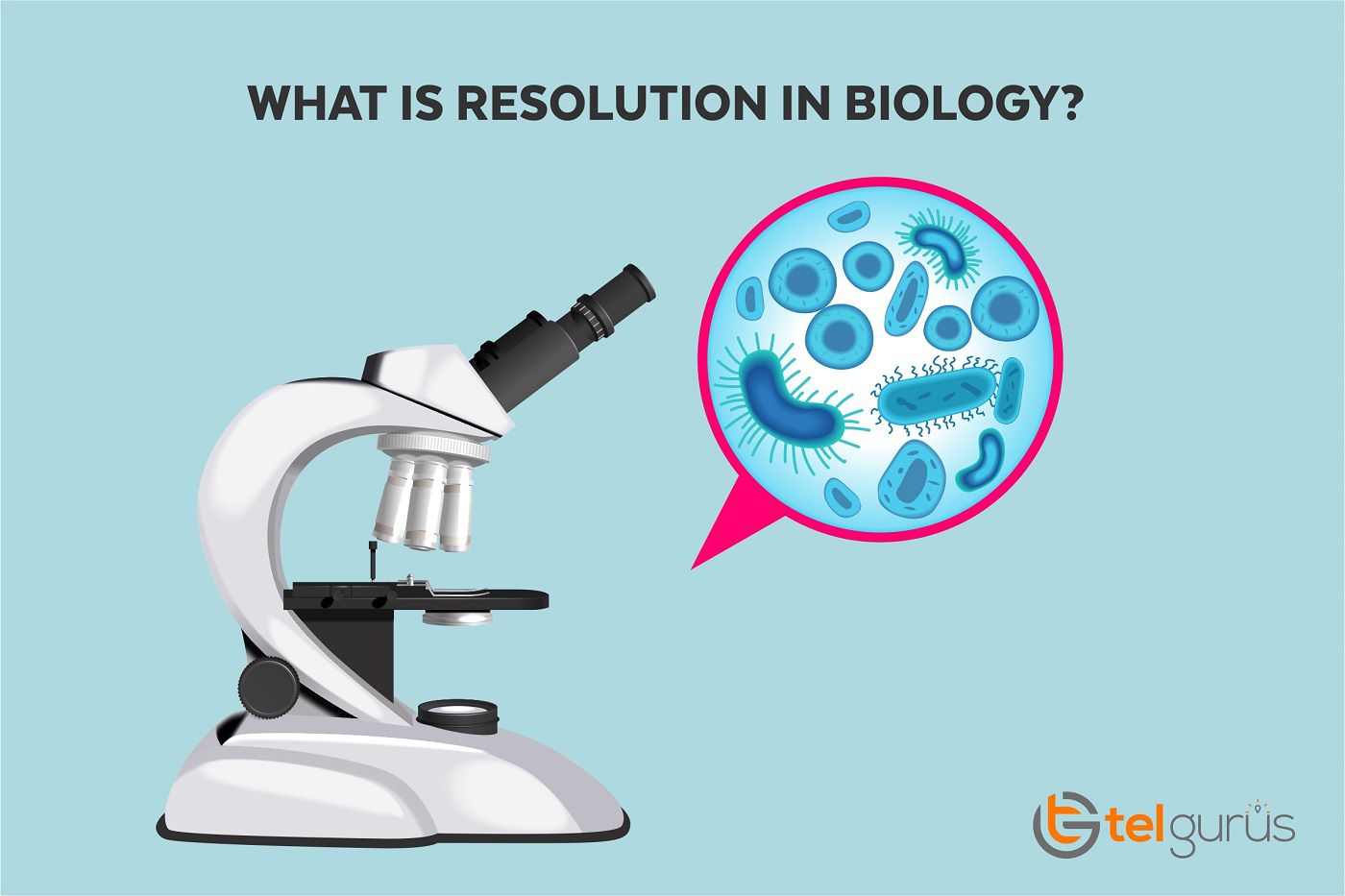 what-is-resolution-in-biology