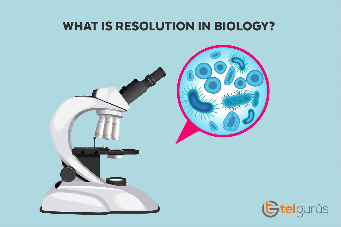 What is Resolution in Biology?