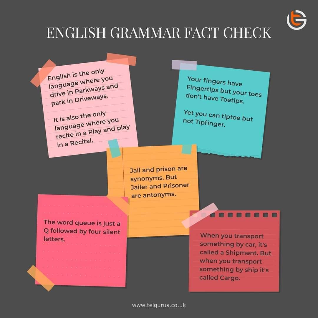 English Grammar Fact Check