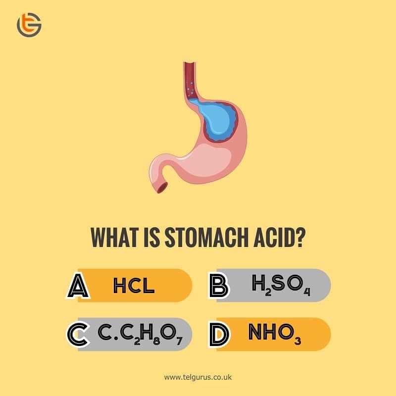 What is Stomach Acid