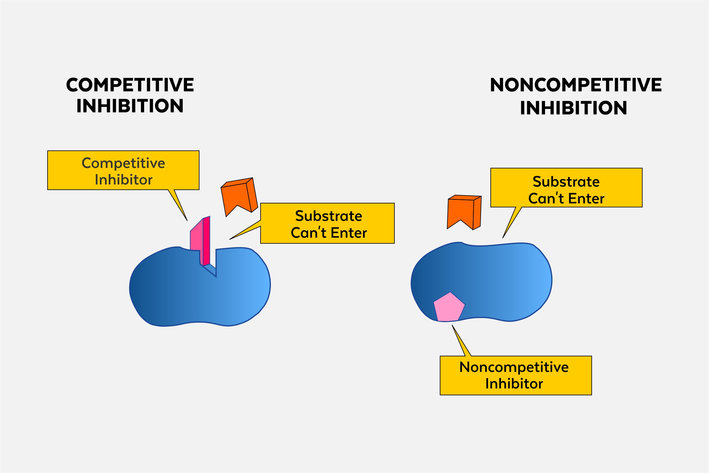 Noncompetitive Enzyme Inhibitors
