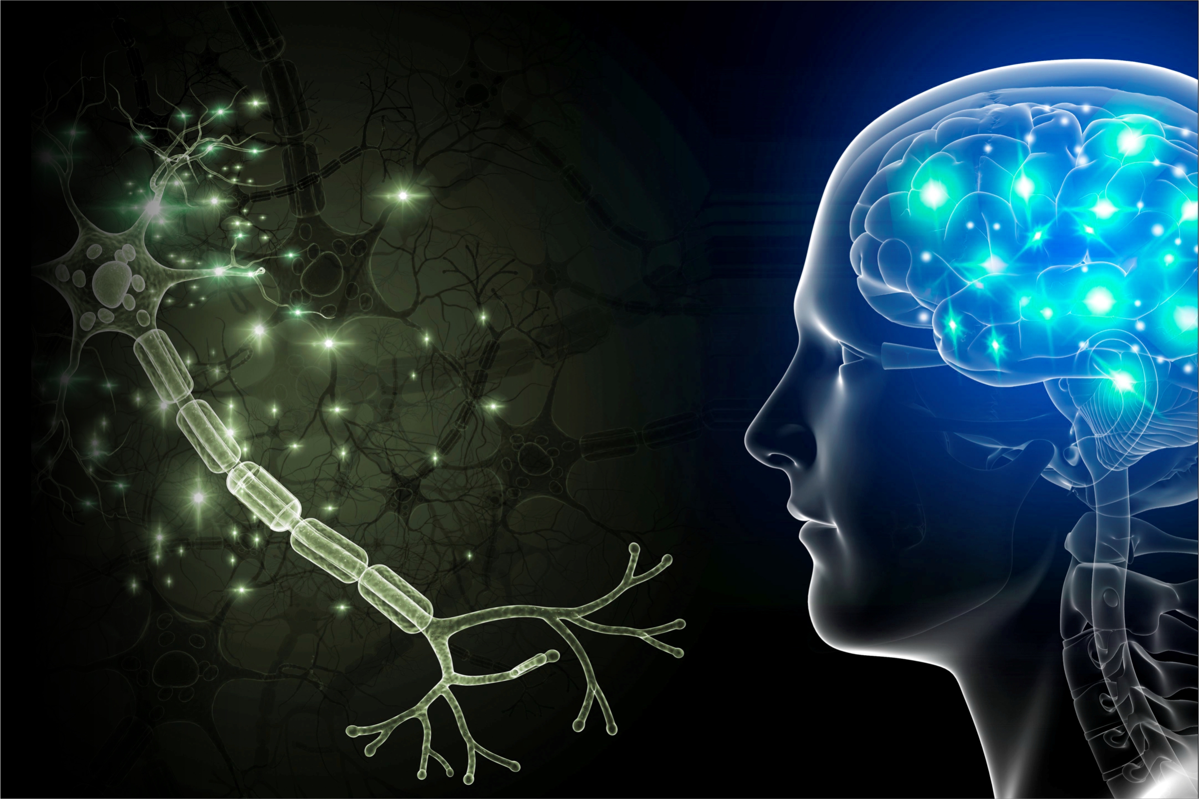 What’s the difference between “brain cells” and “neurons”?