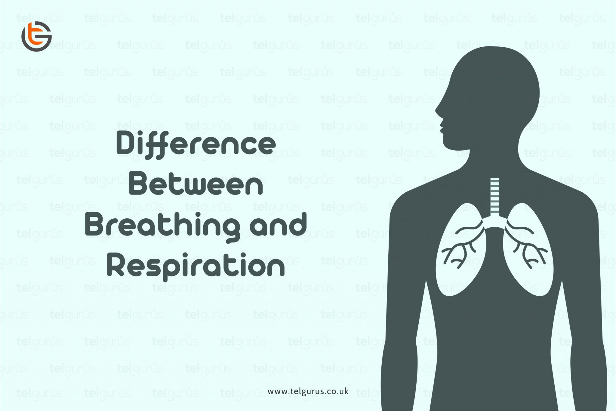 what-are-the-waste-products-of-respiration-science-question