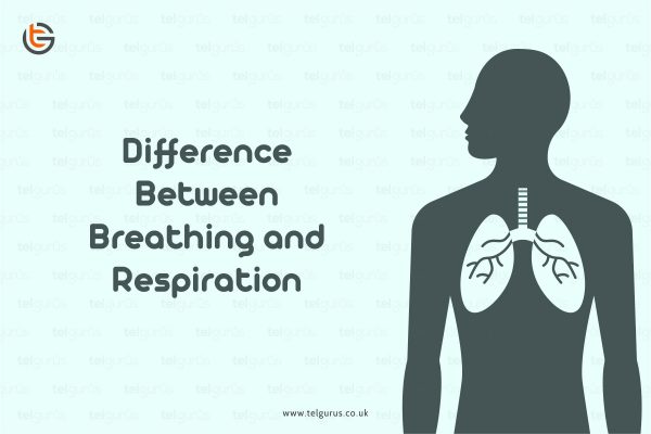 What are the waste products of respiration? | Science Question