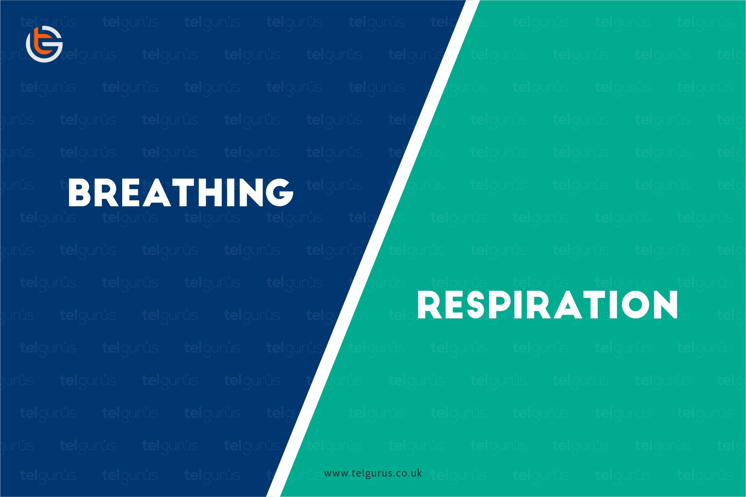 What is the difference between breathing and respiration?