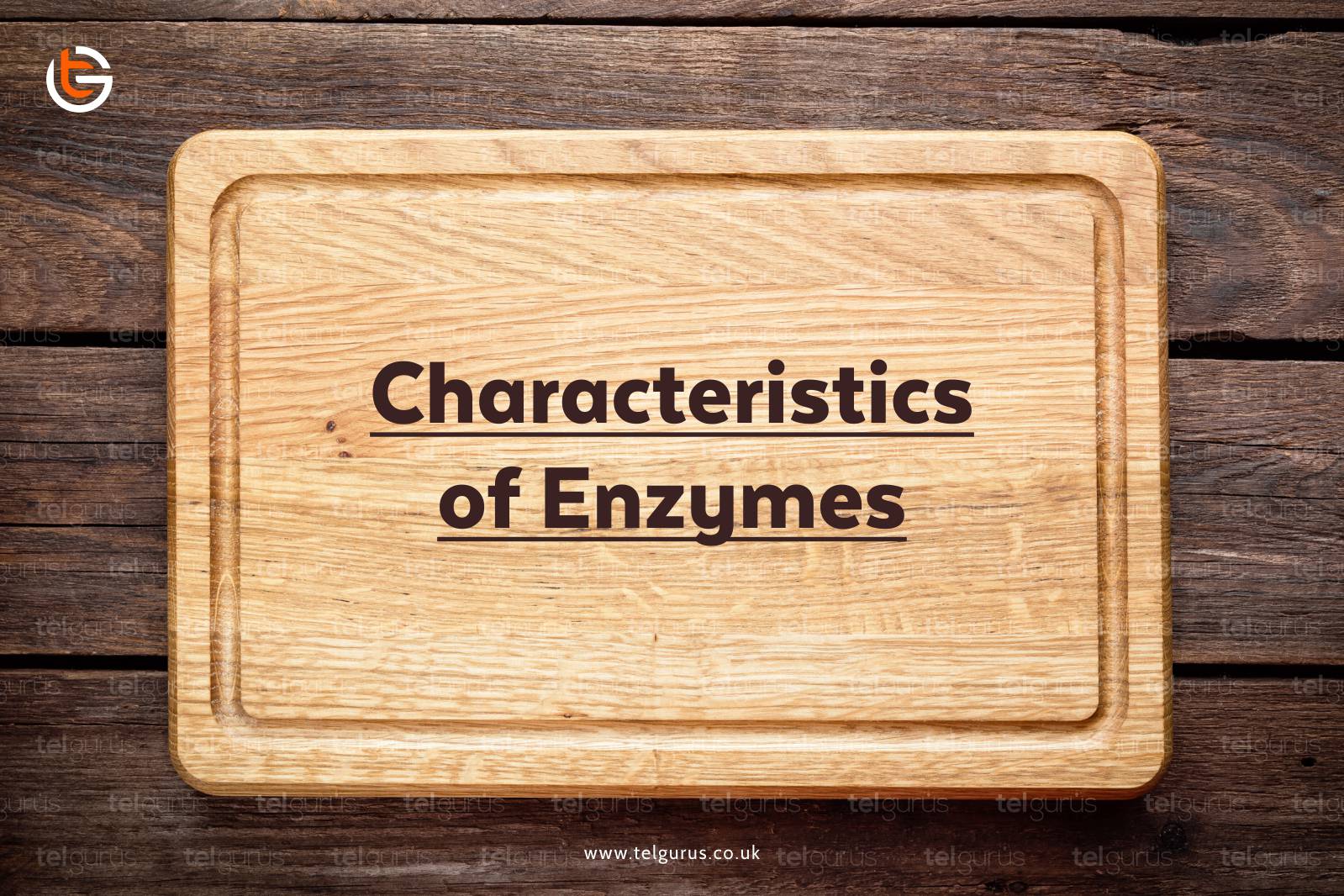 Characteristics of Enzymes