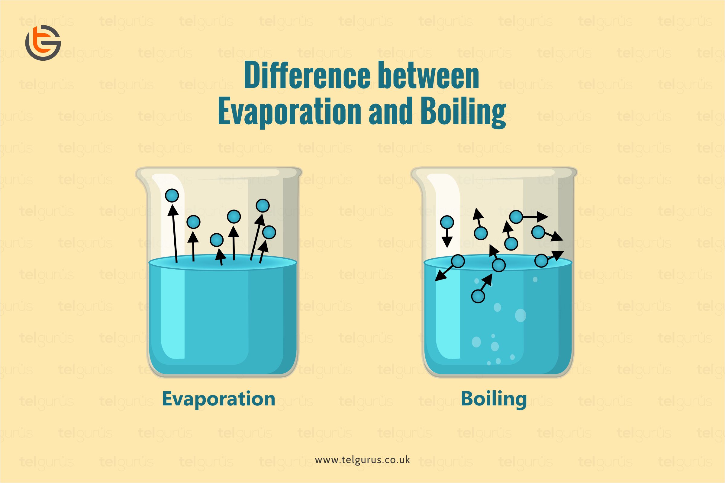 Evaporation and Boiling