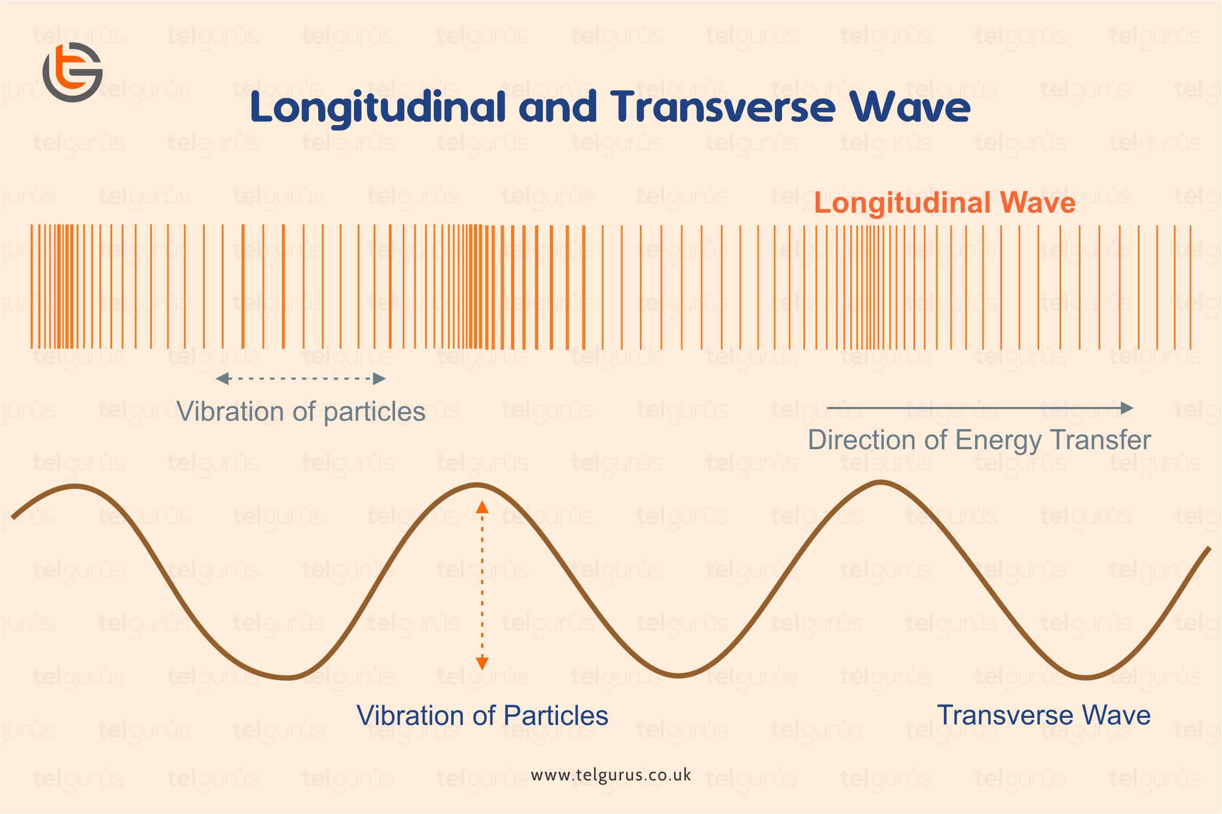 What is the difference between Transverse and Longitudinal waves?