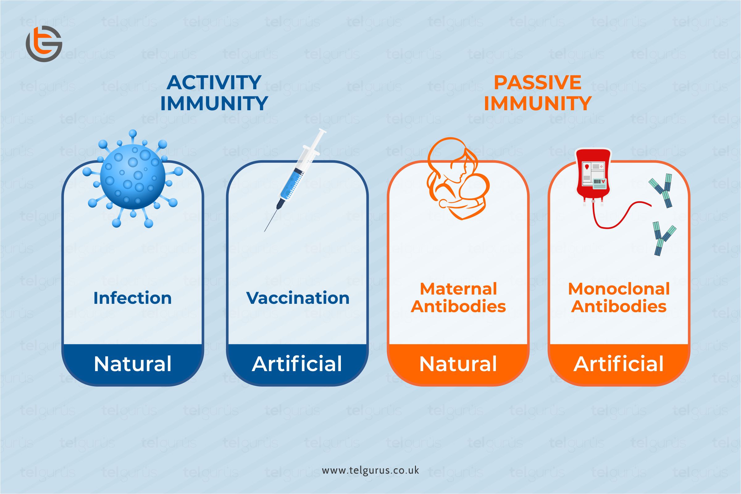 What is the difference between passive and active immunity?