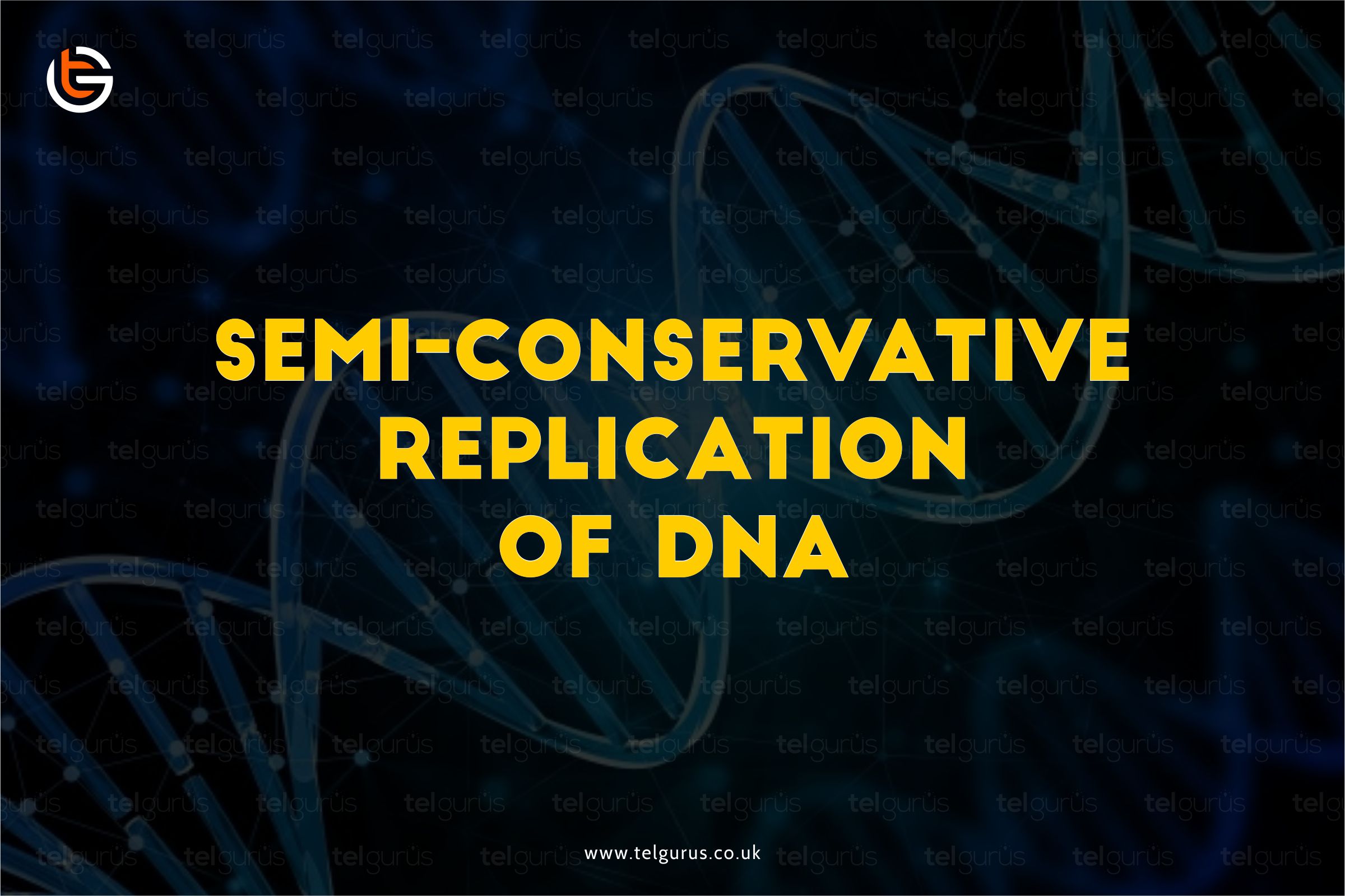 Replication of DNA