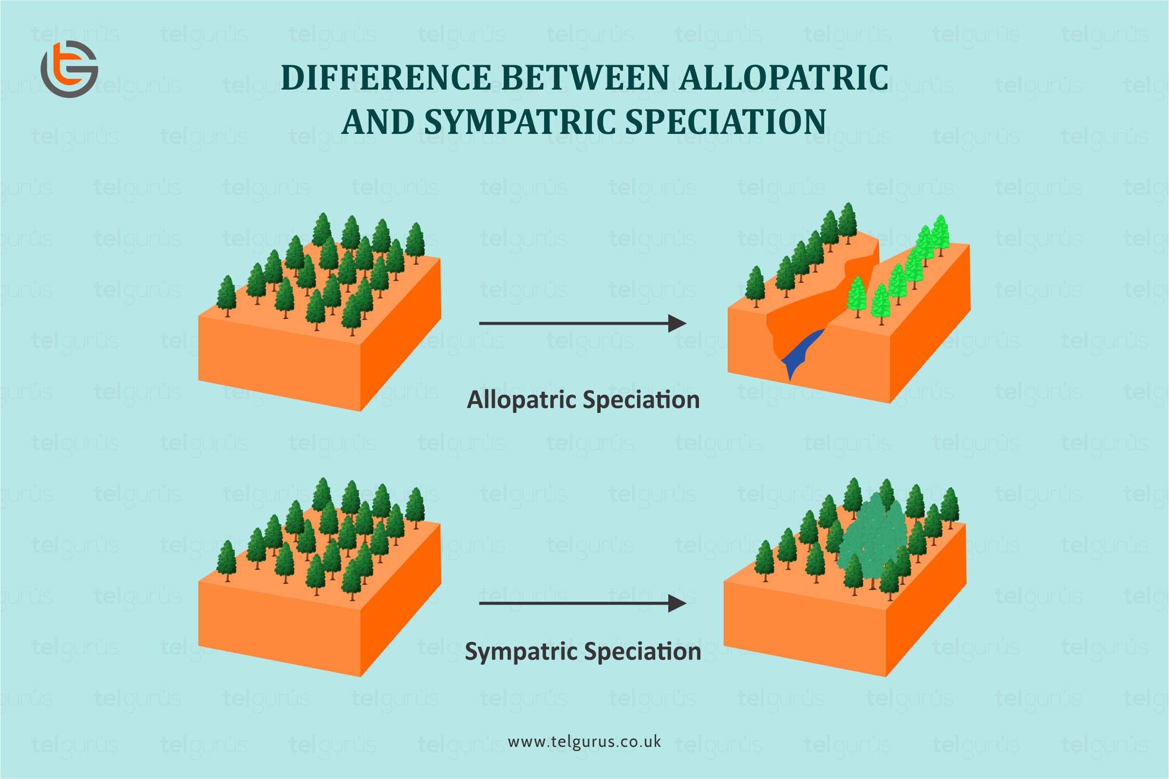 Allopatric-Sympatric