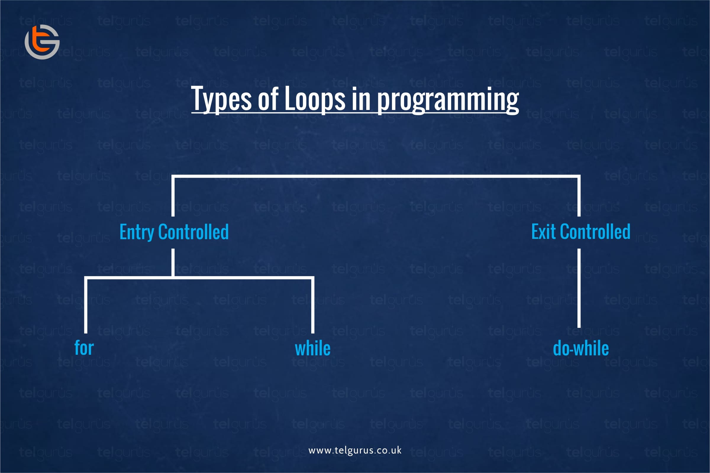 Types of Loops in programming? 