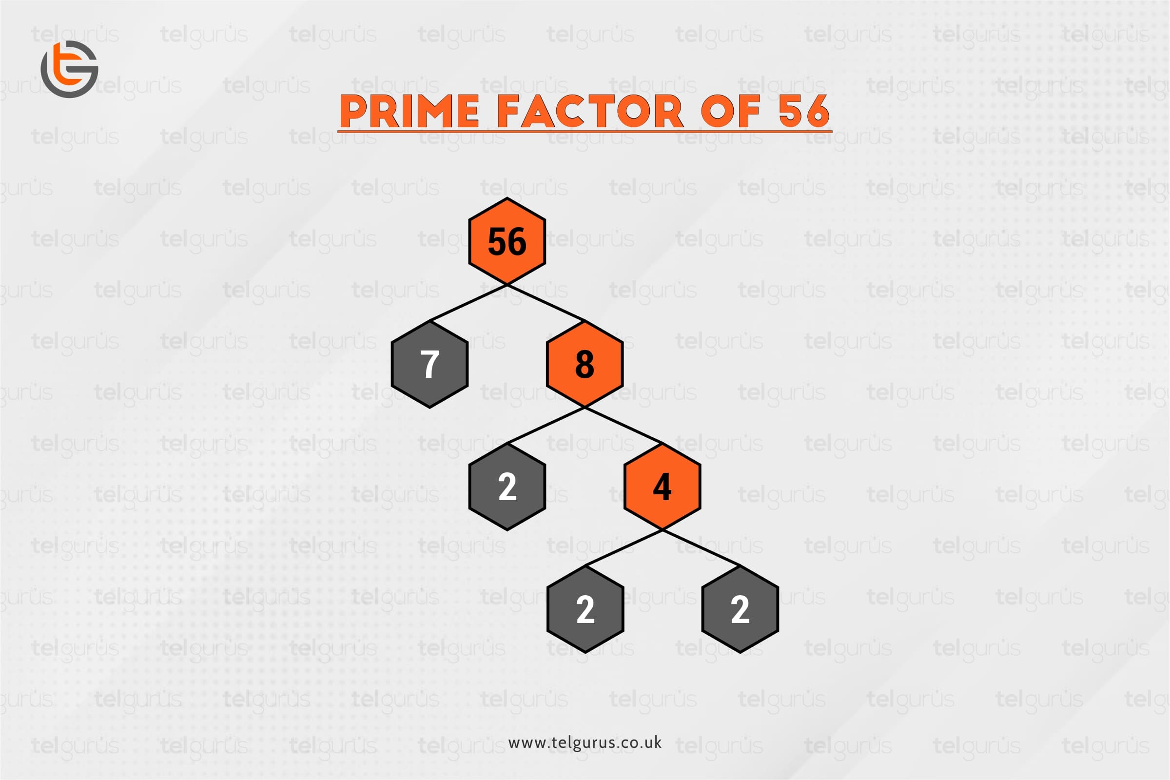 Express 56 as the product of its prime factors?