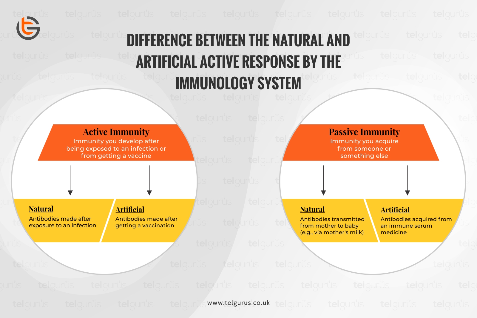 Difference between the natural and artificial active response by the immunology system.
